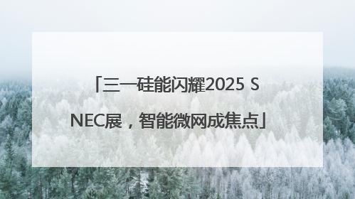 三一硅能闪耀2025 SNEC展，智能微网成焦点
