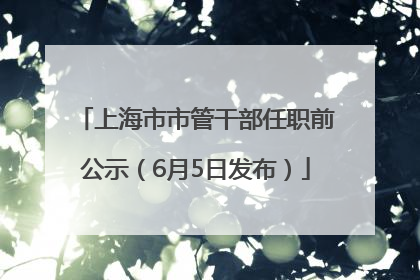 上海市市管干部任职前公示（6月5日发布）