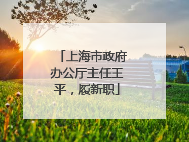 上海市政府办公厅主任王平，履新职