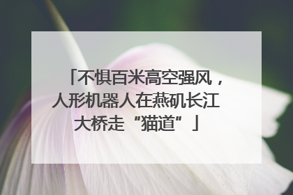 不惧百米高空强风,人形机器人在燕矶长江大桥走“猫道”