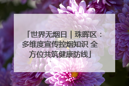 世界无烟日｜珠晖区：多维度宣传控烟知识 全方位共筑健康防线