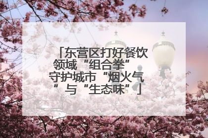 东营区打好餐饮领域“组合拳” 守护城市“烟火气”与“生态味”