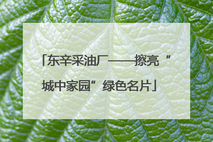 东辛采油厂——擦亮“城中家园”绿色名片