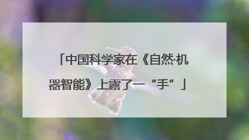 中国科学家在《自然·机器智能》上露了一“手”