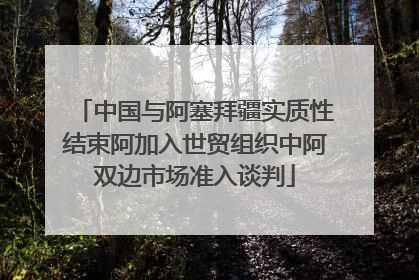 中国与阿塞拜疆实质性结束阿加入世贸组织中阿双边市场准入谈判
