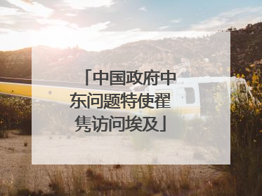 中国政府中东问题特使翟隽访问埃及