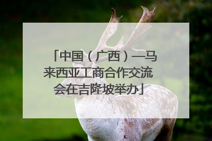 中国（广西）—马来西亚工商合作交流会在吉隆坡举办