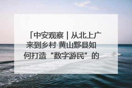 中安观察｜从北上广来到乡村 黄山黟县如何打造“数字游民”的“桃花源”？