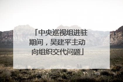 中央巡视组进驻期间，吴建平主动向组织交代问题