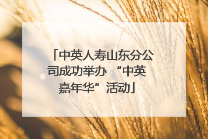 中英人寿山东分公司成功举办 “中英嘉年华”活动