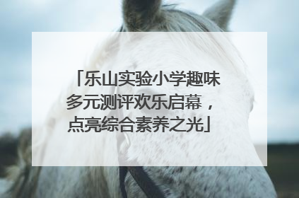 乐山实验小学趣味多元测评欢乐启幕，点亮综合素养之光