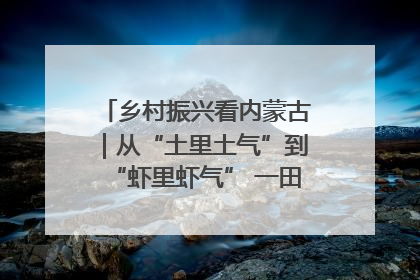 乡村振兴看内蒙古｜从“土里土气”到“虾里虾气” 一田双收模式火出圈