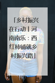 乡村振兴在行动丨河南南乐：西红柿铺就乡村振兴路