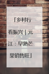 乡村行 看振兴｜元江：早熟芒果销售旺