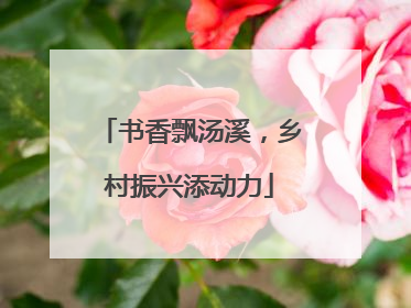书香飘汤溪，乡村振兴添动力
