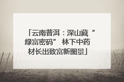 云南普洱：深山藏“绿富密码” 林下中药材长出致富新图景