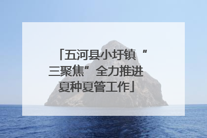 五河县小圩镇“三聚焦”全力推进夏种夏管工作