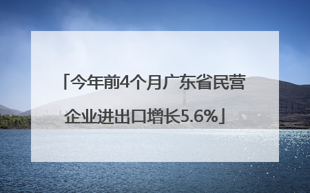 今年前4个月广东省民营企业进出口增长5.6%