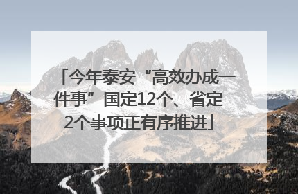 今年泰安“高效办成一件事”国定12个、省定2个事项正有序推进