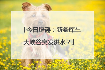 今日辟谣：新疆库车大峡谷突发洪水？