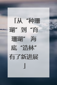 从“种珊瑚”到“育珊瑚” 海底“造林”有了新进展