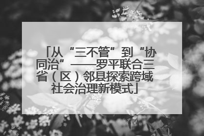 从“三不管”到“协同治”——罗平联合三省（区）邻县探索跨域社会治理新模式