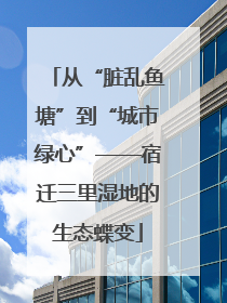 从“脏乱鱼塘”到“城市绿心”——宿迁三里湿地的生态蝶变