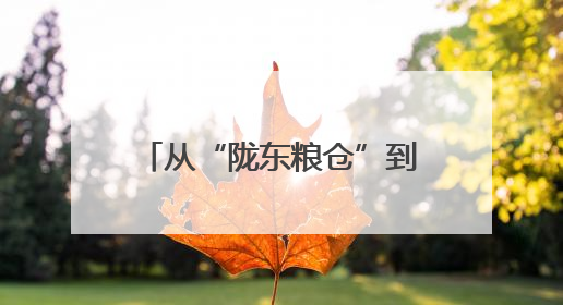 从“陇东粮仓”到算力高地 这块红色热土焕发新活力