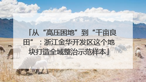 从“高压困地”到“千亩良田”：浙江金华开发区这个地块打造全域整治示范样本