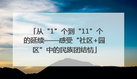 从“1”个到“11”个的延续——感受“社区+园区”中的民族团结情