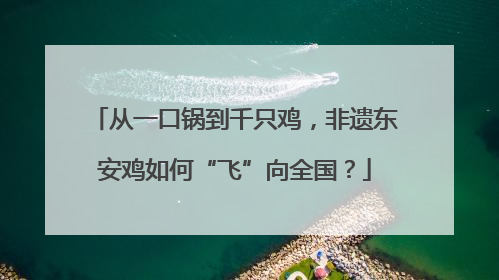 从一口锅到千只鸡，非遗东安鸡如何“飞”向全国？
