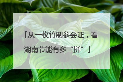 从一枚竹制参会证，看湖南节能有多“拼”
