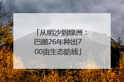 从明沙到绿洲：巴图26年种出700亩生态防线