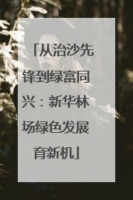 从治沙先锋到绿富同兴：新华林场绿色发展育新机