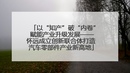 以“知产”破“内卷” 赋能产业升级发展——怀远成立创新联合体打造汽车零部件产业新高地