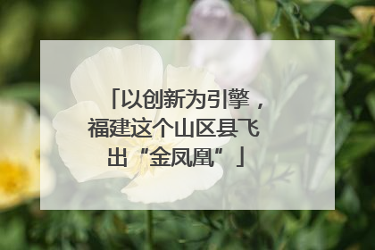 以创新为引擎，福建这个山区县飞出“金凤凰”