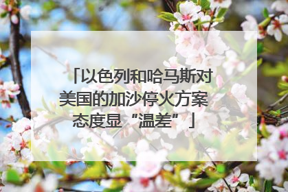 以色列和哈马斯对美国的加沙停火方案态度显“温差”