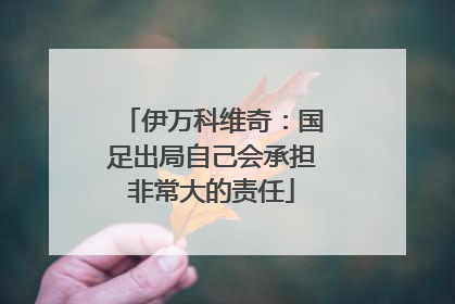 伊万科维奇：国足出局自己会承担非常大的责任