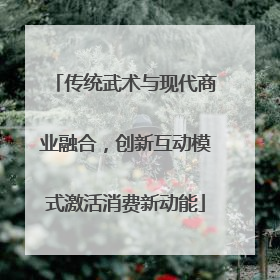 传统武术与现代商业融合，创新互动模式激活消费新动能