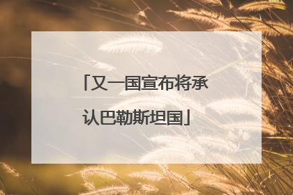 又一国宣布将承认巴勒斯坦国