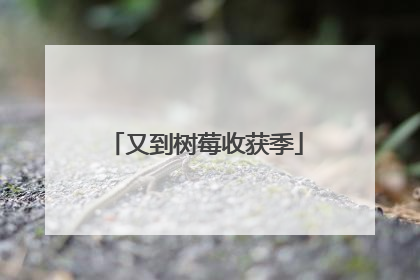 又到树莓收获季
