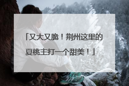 又大又脆！荆州这里的夏桃主打一个甜美！