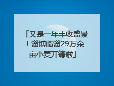 又是一年丰收盛景！淄博临淄29万余亩小麦开镰啦