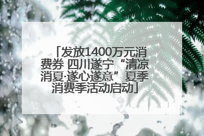 发放1400万元消费券 四川遂宁“清凉消夏·遂心遂意”夏季消费季活动启动