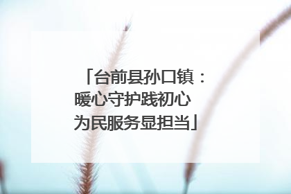 台前县孙口镇：暖心守护践初心 为民服务显担当
