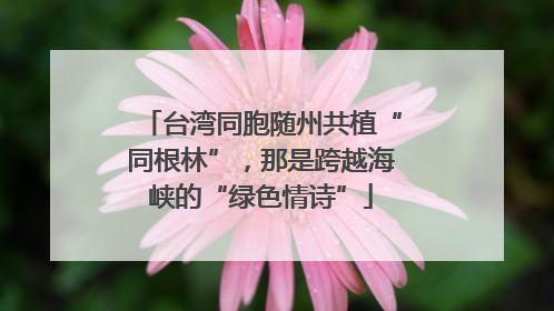 台湾同胞随州共植“同根林”，那是跨越海峡的“绿色情诗”