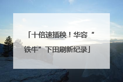 十倍速插秧！华容“铁牛”下田刷新纪录
