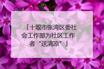 十堰市张湾区委社会工作部为社区工作者“送清凉”