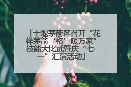 十堰茅箭区召开“花样茅箭‘格’暖万家”技能大比武暨庆“七·一”汇演活动
