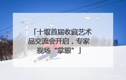 十堰首届收藏艺术品交流会开启，专家现场“掌眼”